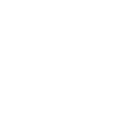 SBI