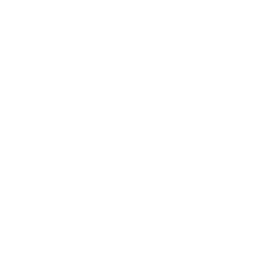 AXIS BANK